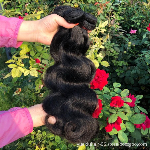 Good Quality Free Sample Human Hair Weave Bundles with Closure Frontal Body Wave 3 Bundles of Brazilian Hair